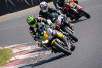 Lower Group Silver_Grey Bikes